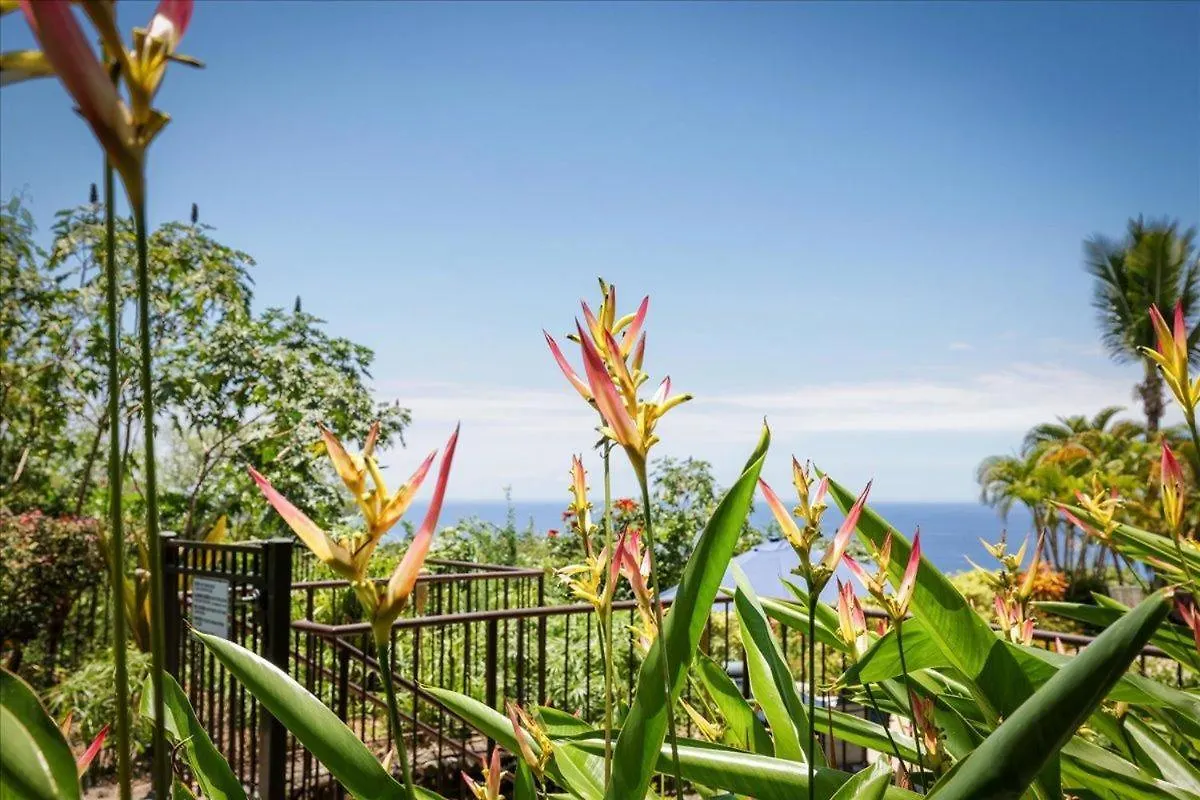 فيلا Kona Westwind 1 New! Quiet Ocean-View 1St Floor | Patio | Pool كايلو كونا