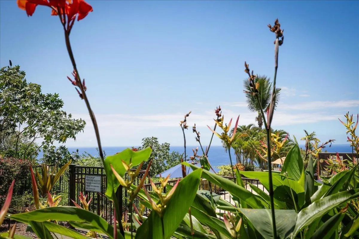 فيلا Kona Westwind 1 New! Quiet Ocean-View 1St Floor | Patio | Pool كايلو كونا الولايات المتحدة الأمريكية